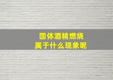 固体酒精燃烧属于什么现象呢