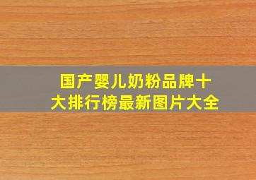 国产婴儿奶粉品牌十大排行榜最新图片大全