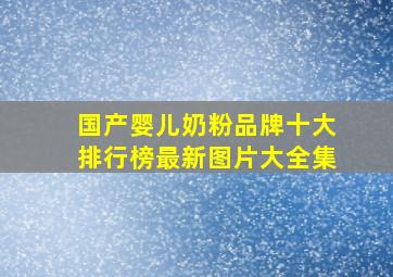 国产婴儿奶粉品牌十大排行榜最新图片大全集