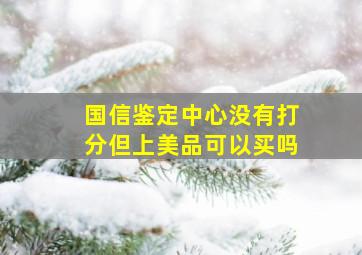 国信鉴定中心没有打分但上美品可以买吗