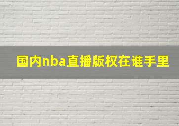 国内nba直播版权在谁手里