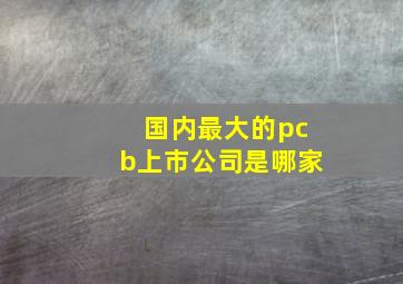 国内最大的pcb上市公司是哪家