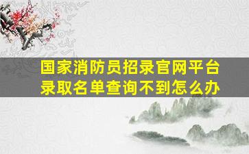 国家消防员招录官网平台录取名单查询不到怎么办