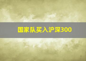 国家队买入沪深300