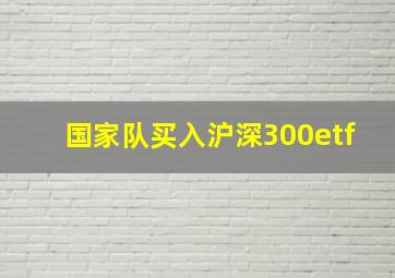 国家队买入沪深300etf