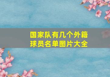 国家队有几个外籍球员名单图片大全