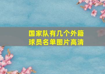 国家队有几个外籍球员名单图片高清