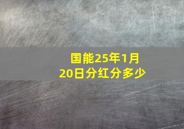 国能25年1月20日分红分多少