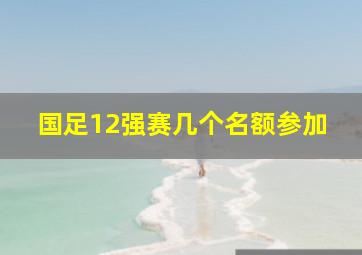 国足12强赛几个名额参加