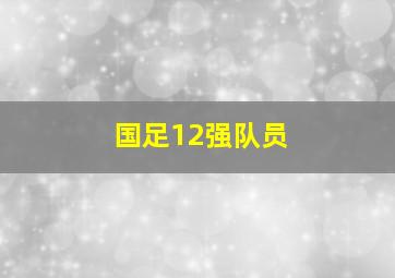 国足12强队员