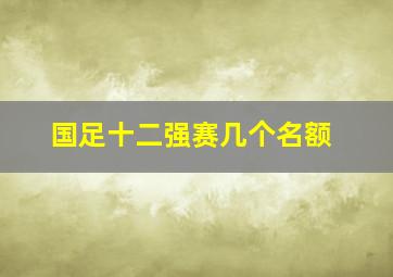 国足十二强赛几个名额