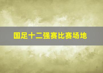 国足十二强赛比赛场地