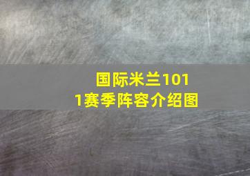 国际米兰1011赛季阵容介绍图