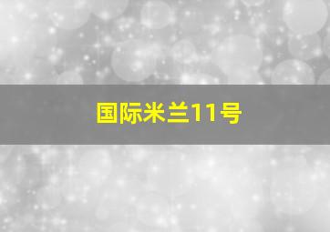 国际米兰11号