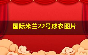 国际米兰22号球衣图片