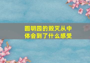 圆明园的毁灭从中体会到了什么感受