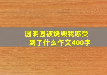 圆明园被烧毁我感受到了什么作文400字