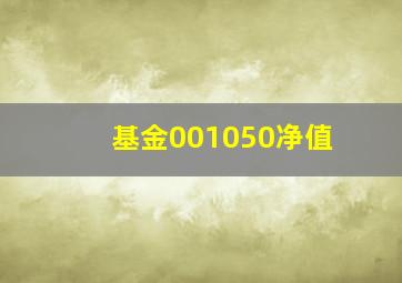 基金001050净值