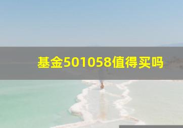 基金501058值得买吗