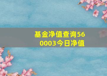 基金净值查询560003今日净值