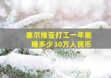 塞尔维亚打工一年能赚多少30万人民币