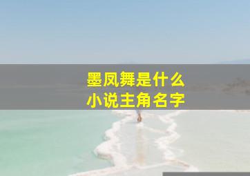 墨凤舞是什么小说主角名字