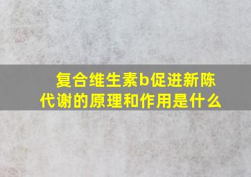 复合维生素b促进新陈代谢的原理和作用是什么