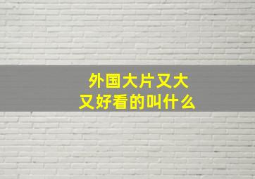 外国大片又大又好看的叫什么