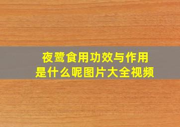 夜鹭食用功效与作用是什么呢图片大全视频