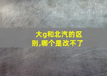 大g和北汽的区别,哪个是改不了