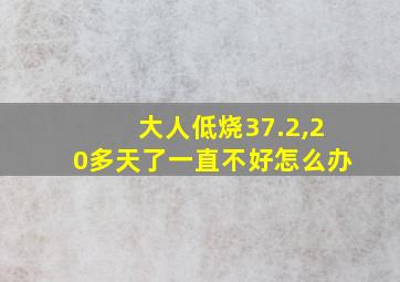 大人低烧37.2,20多天了一直不好怎么办