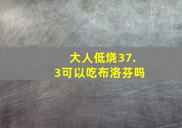 大人低烧37.3可以吃布洛芬吗