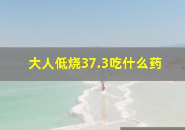 大人低烧37.3吃什么药