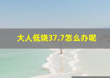 大人低烧37.7怎么办呢