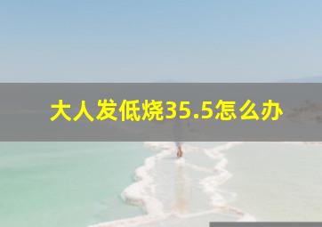 大人发低烧35.5怎么办