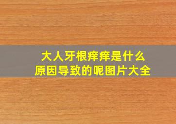 大人牙根痒痒是什么原因导致的呢图片大全