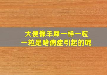 大便像羊屎一样一粒一粒是啥病症引起的呢