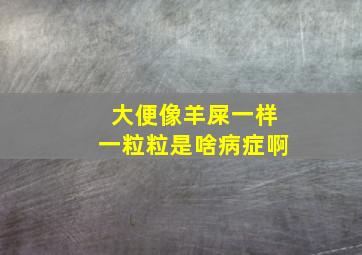 大便像羊屎一样一粒粒是啥病症啊