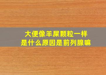 大便像羊屎颗粒一样是什么原因是前列腺嘛