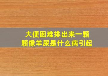 大便困难排出来一颗颗像羊屎是什么病引起