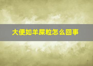 大便如羊屎粒怎么回事