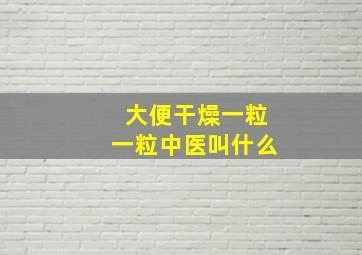 大便干燥一粒一粒中医叫什么