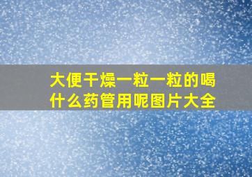 大便干燥一粒一粒的喝什么药管用呢图片大全