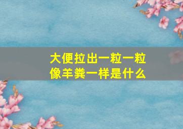 大便拉出一粒一粒像羊粪一样是什么