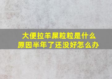 大便拉羊屎粒粒是什么原因半年了还没好怎么办