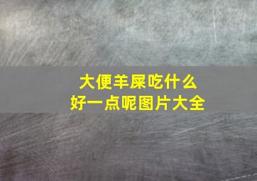 大便羊屎吃什么好一点呢图片大全