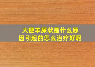 大便羊屎状是什么原因引起的怎么治疗好呢