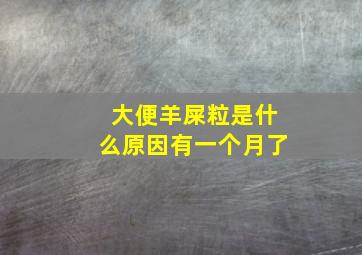 大便羊屎粒是什么原因有一个月了