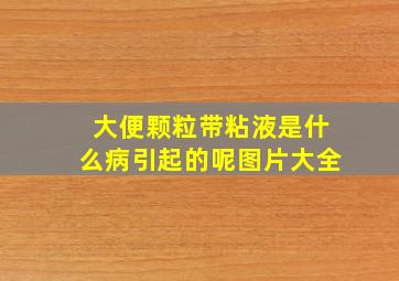 大便颗粒带粘液是什么病引起的呢图片大全