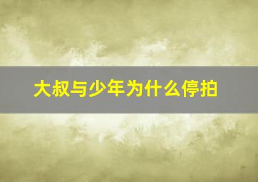 大叔与少年为什么停拍